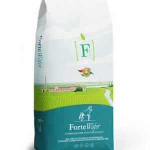 Forte Wafer Base קוביות אספסת